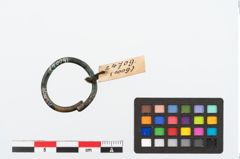 Foto von Bronzering (NHMW-PRAE-024709)